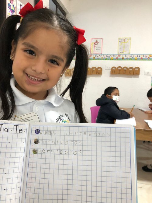 768003c1-05b3-45dc-be15-f8d21516656c